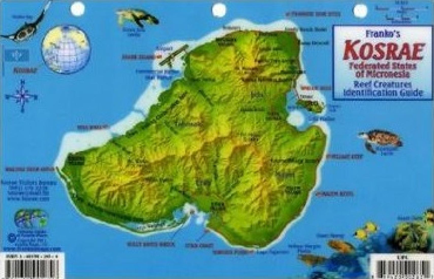 Franko's Kosrae : Federated States of Micronesia : reef creatures identification guide