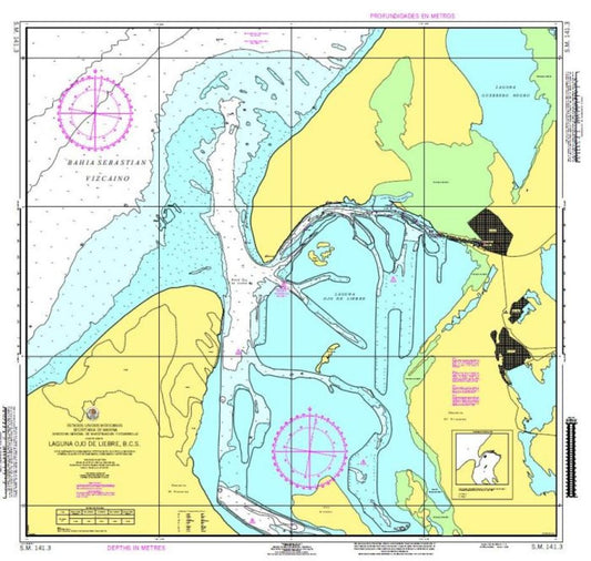 LAGUNA OJO DE LIEBRE, B. C - 141.3 - Mexico Nautical Charts by SEMAR