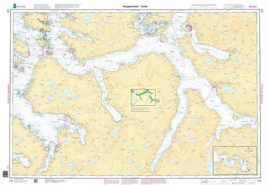 Haugsholmen - Volda - 125 - Norway Kartverket Nautical Charts