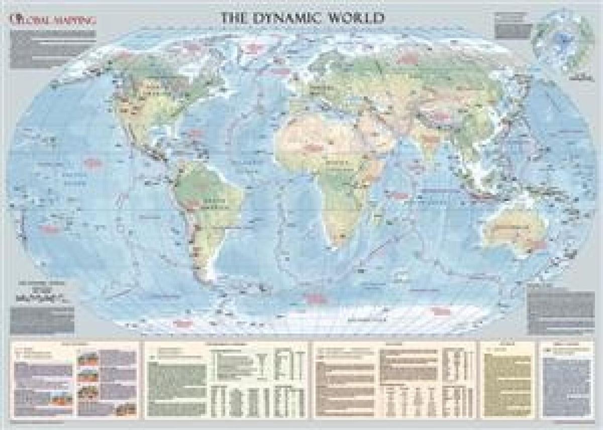 The Dynamic World Physical Wall Map [Laminated]