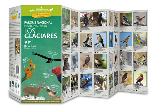 Los Glaciares National Park : Flora and Fauna