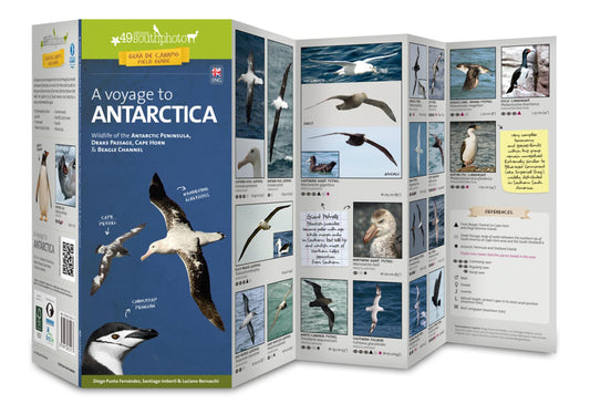 A Voyage to Antarctica. Wildlife of the Antarctic Peninsula, Drake Passage, Cape Horn & Beagle Channel