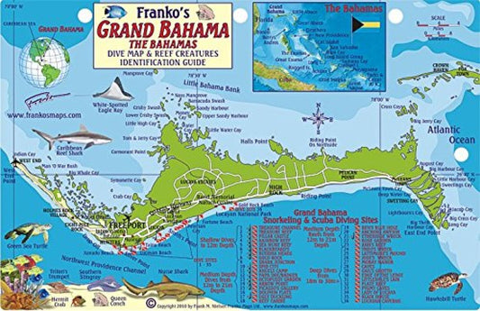 Franko's Grand Bahama : the Bahamas : dive map & reef creatures identification guide