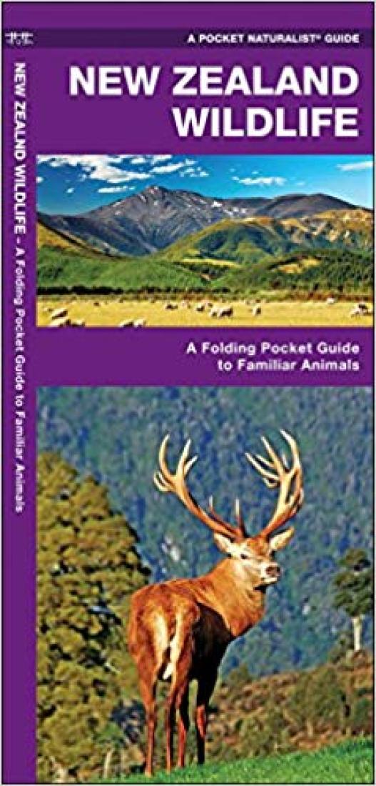 New Zealand Wildlife: A Folding Pocket Guide to Familiar Animals